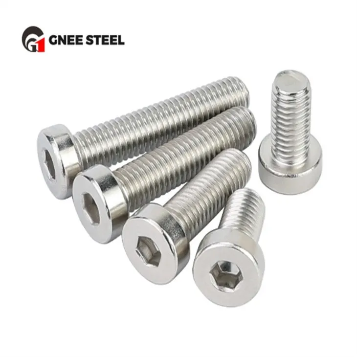 SS201 SS304 SS316 Low Head Hex Socket Bolts